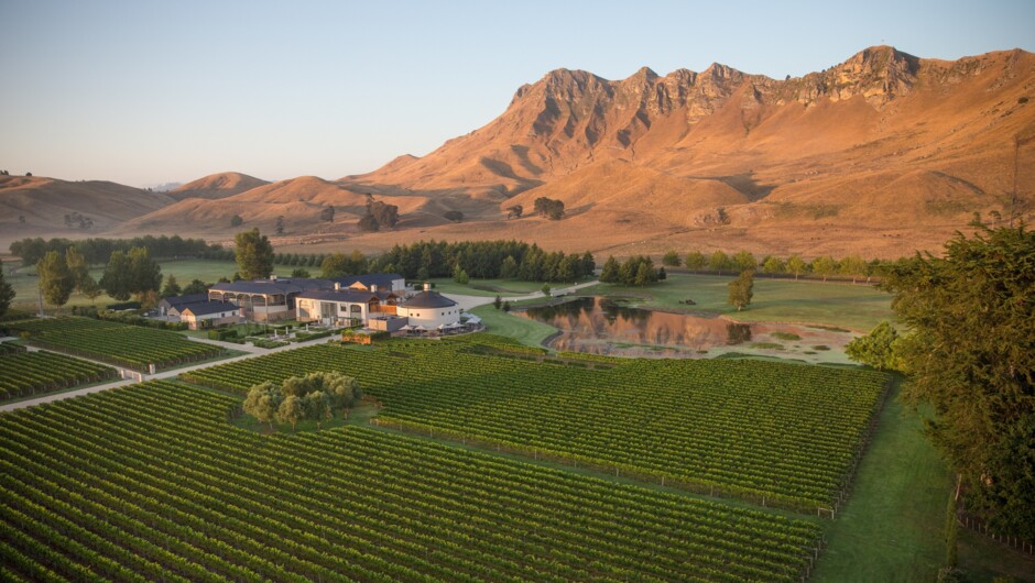 Craggy Range and Te Mata Peak, Hawke's Bay