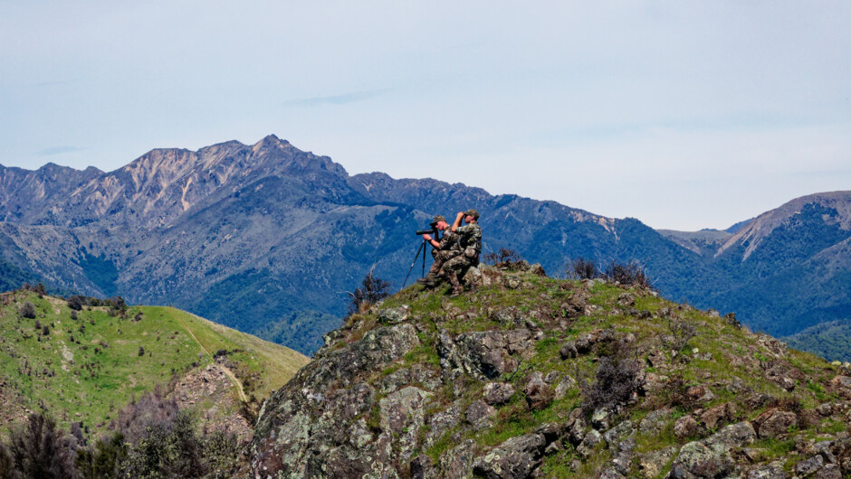 Glassing for Red Stags