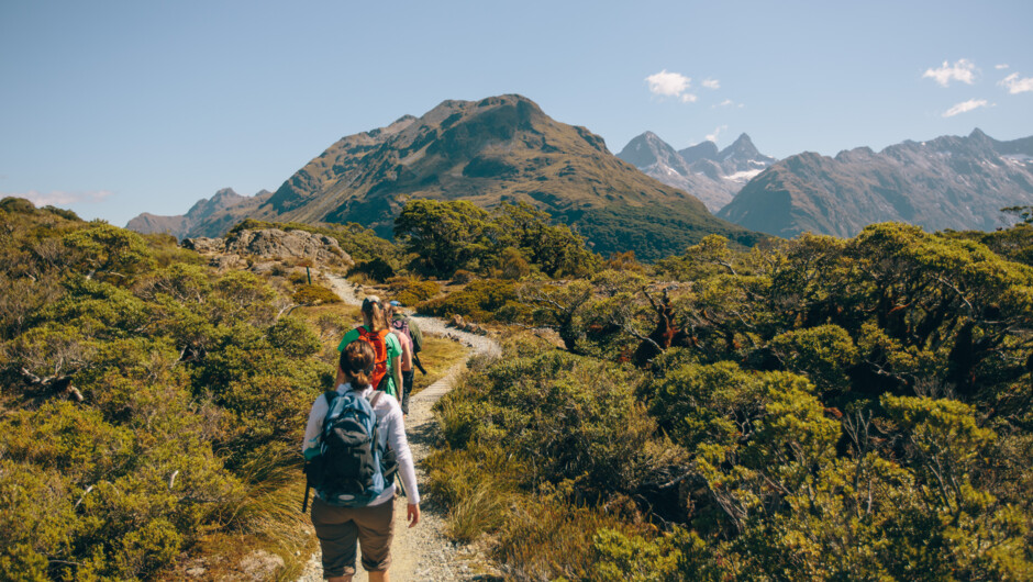 Spectacular views at Key Summit, Routeburn Track.