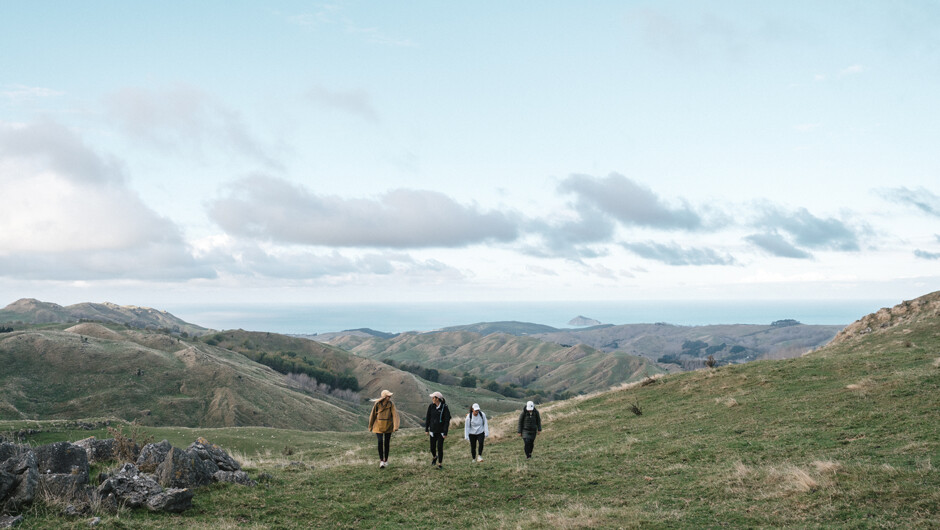 Stunning views of the Pacific Ocean, over Waimarama Beach and Bare Island.