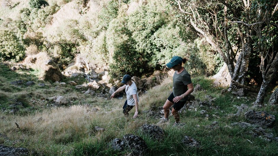 Walking from the Waterfall.