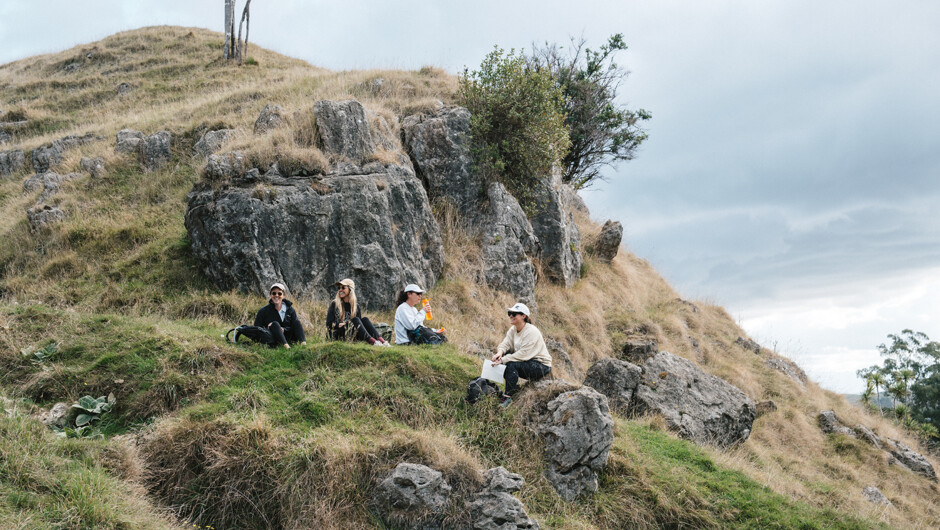 Lots of spots to rest.