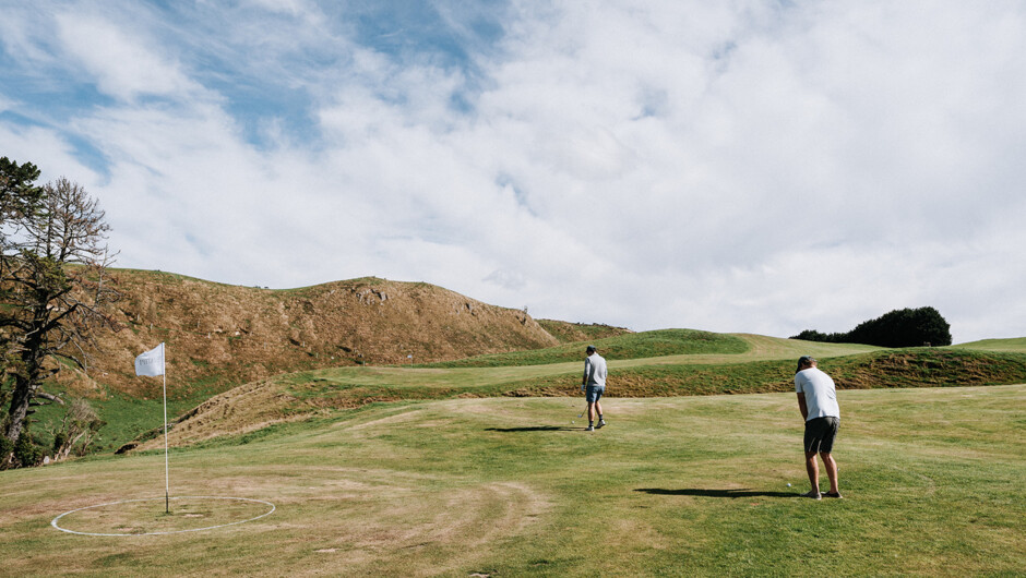 Farmland most of the year, transformed for summer.
