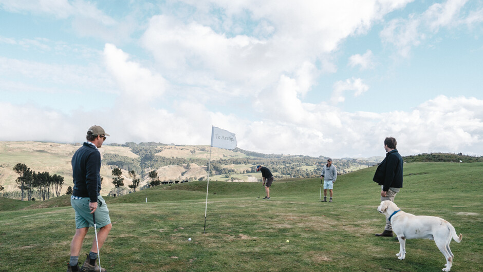 Well behaved dogs welcome.