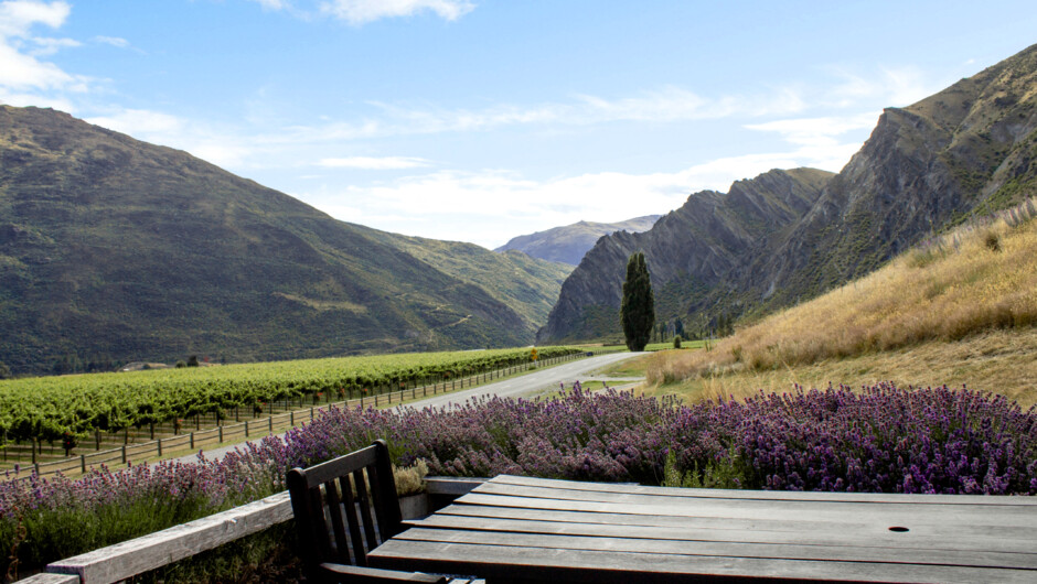 Stunning views from our courtyard