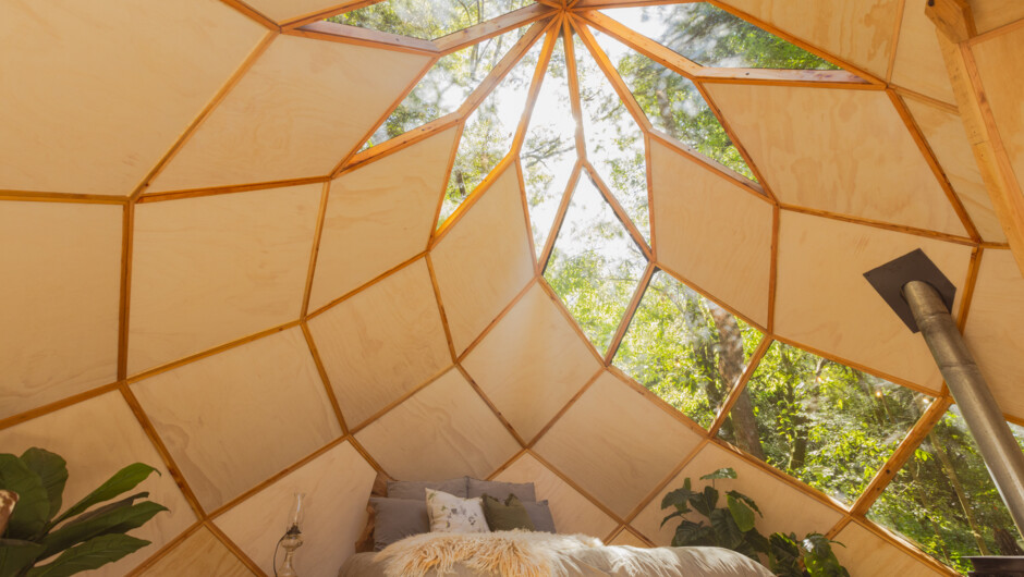 Sophie's - Manawa o Waikirikiri