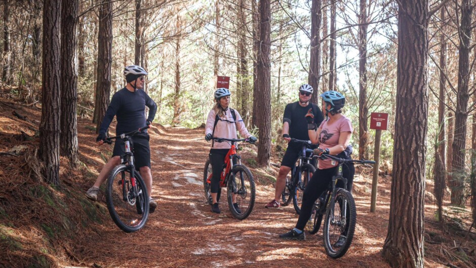 Looking for a tour for your family or perhaps a group of friends. This will be a great experience for all ages and riding levels