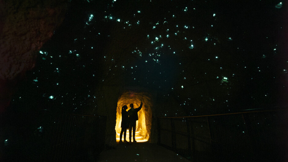 See thousands of real glowworms