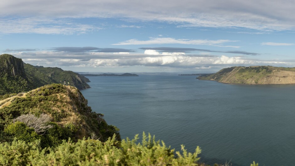 Discover the lush beauty of the Waitakere Ranges, where nature's wonders unfold at every trailhead. Embrace the wild serenity just a stone's throw from Auckland.