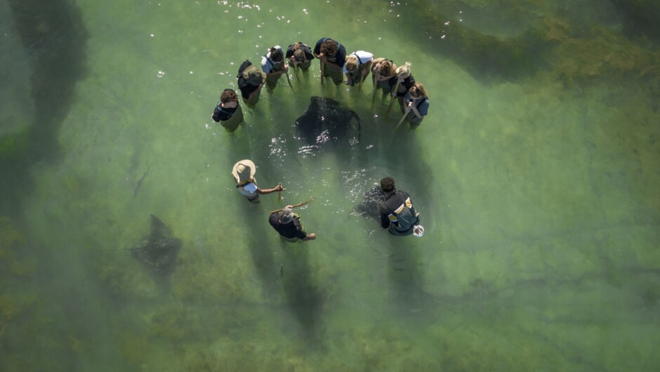 Unwind where golden sands meet rolling waves at Makorori, Gisborne’s hidden gem. Experience the perfect blend of tranquillity and breathtaking coastal views.