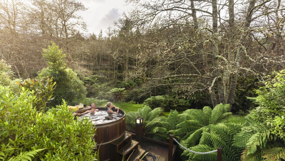 Immerse yourself in the geothermal wonders and rich Māori culture of Rotorua, Bay of Plenty.  Experience the magic where bubbling hot springs and stunning lakes create unforgettable adventures.