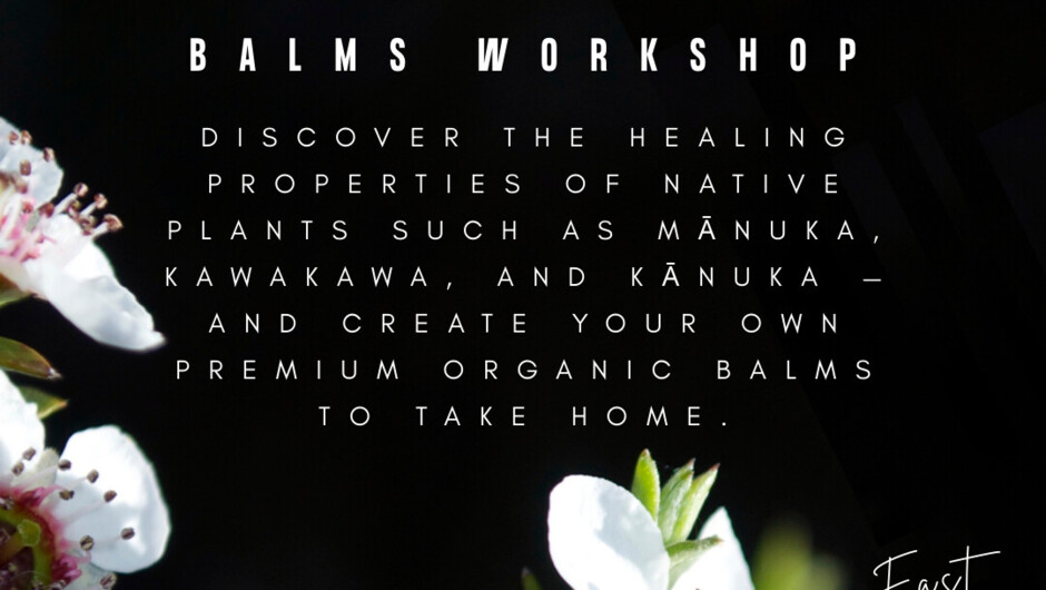 Medicinal Manuka Balm Manufacturing Workshop