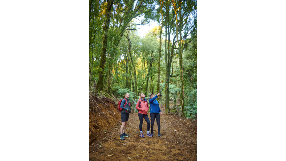 Spot some of New Zealand's rarest and most treasured flora and fauna.