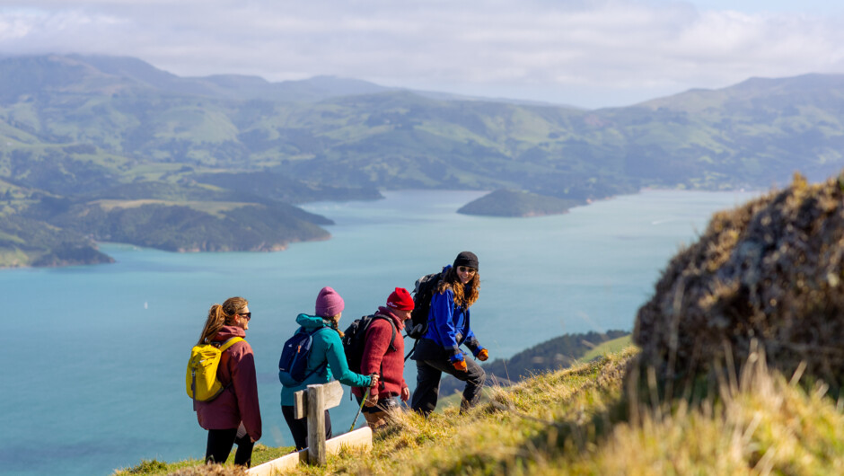 Banks Track multi-day hike