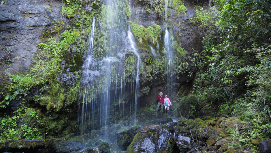 Waterfall on Banks Track