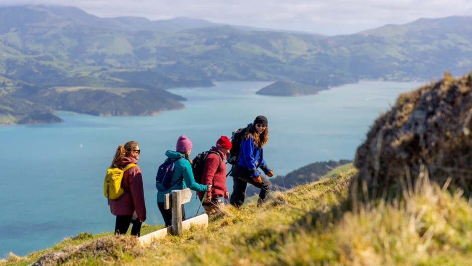 Experience Banks Track, Incredible Multi-Day Hike in New Zealand