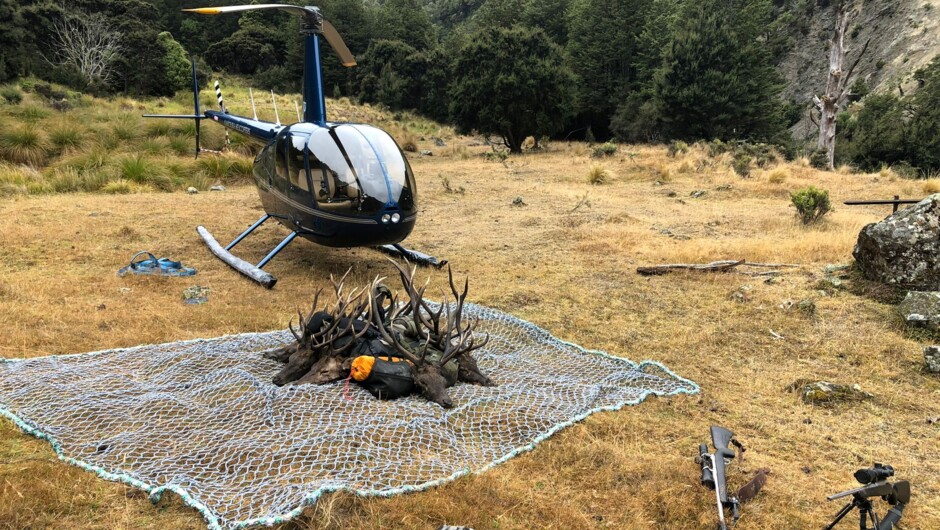 Back country hunting with Kaikōura Helicopters