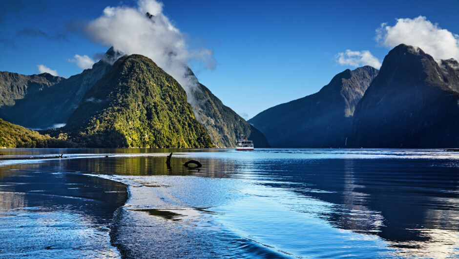 New Zealand’s iconic scenery at its finest.
