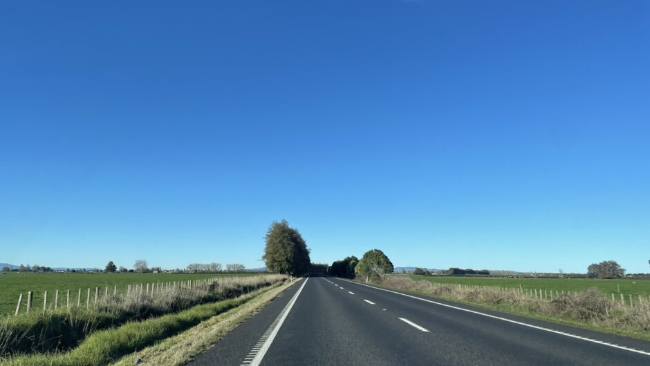 Road Trip in New Zealand