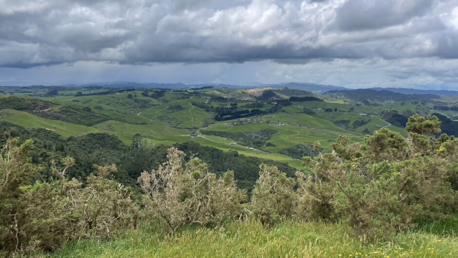 Mount Williams, Waikato