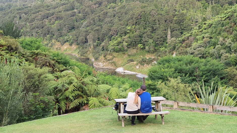 View up the Whanganui River