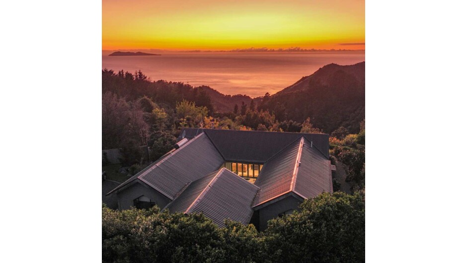 Off The Beaten Track - Orokawa Bay Sanctuary