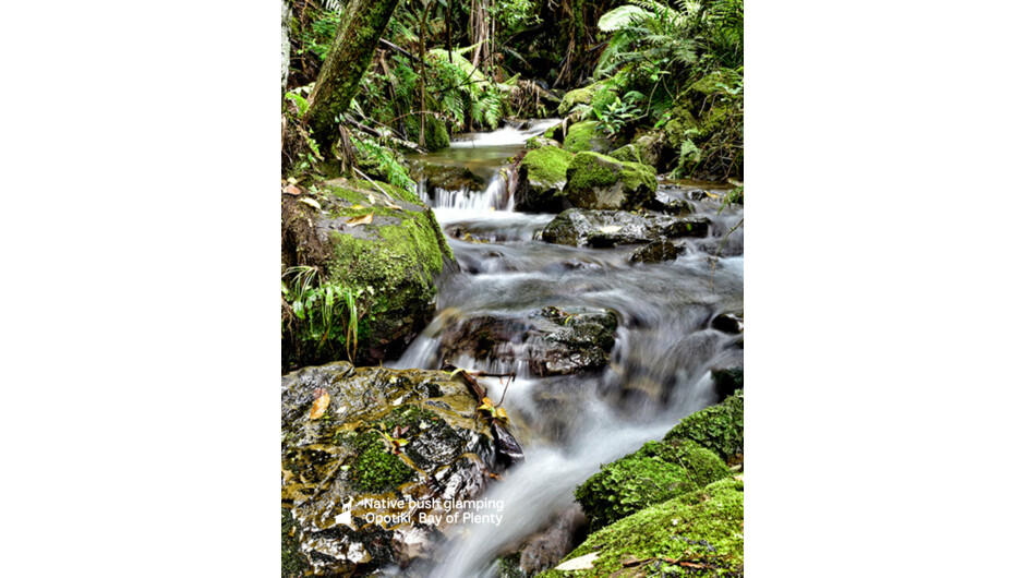 Luxury waterfall &amp; native bush glamping