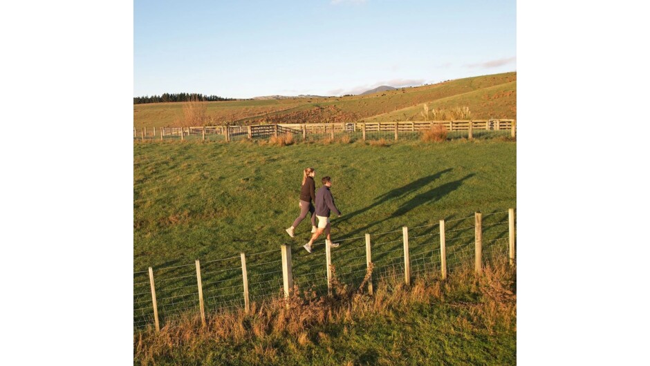 Daisybanks Walking Track