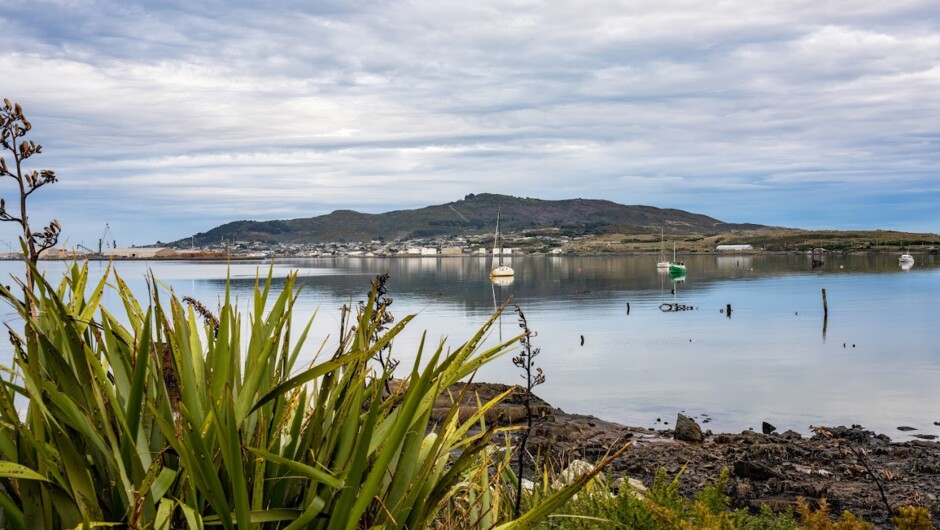 Motupōhue / Bluff Hill