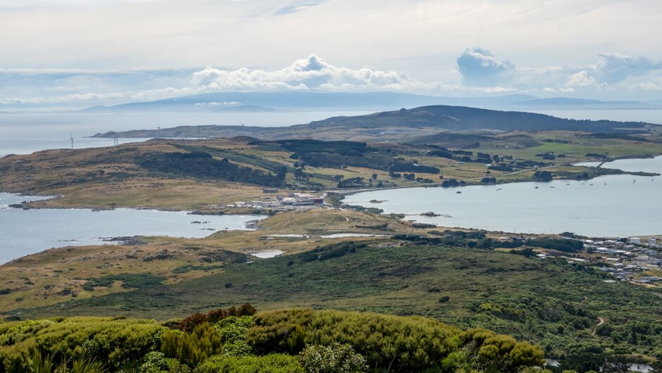 The view from the summit of Motupōhue / Bluff Hill