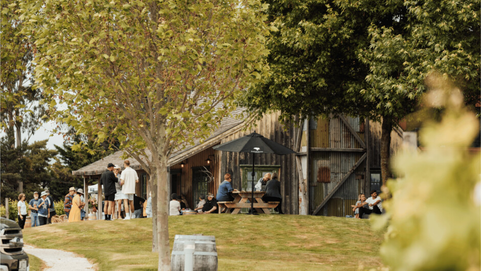 Autumn at Jackson Estate