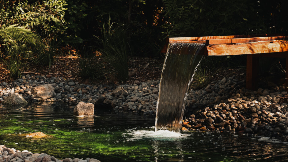 Ponds and water features create a calm ambience for your sauna