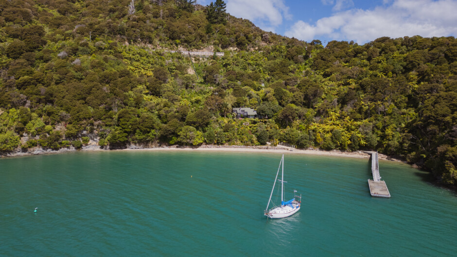 Canopy Camping Escapes