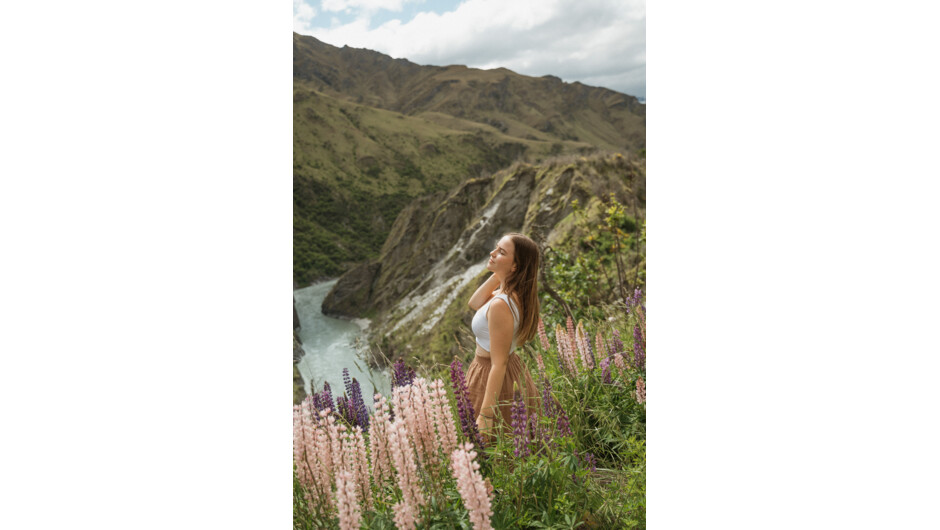 Shotover River and Lupins