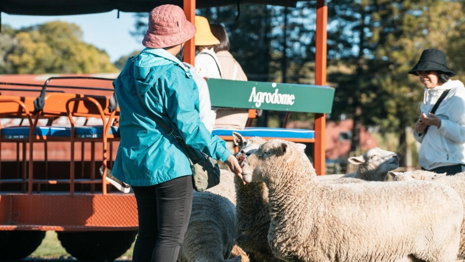 牧场拖拉机观光之旅
