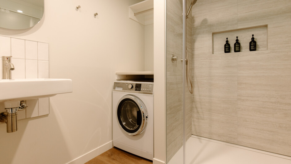 Apartment or Suite Bathroom including  washing machine/dryer