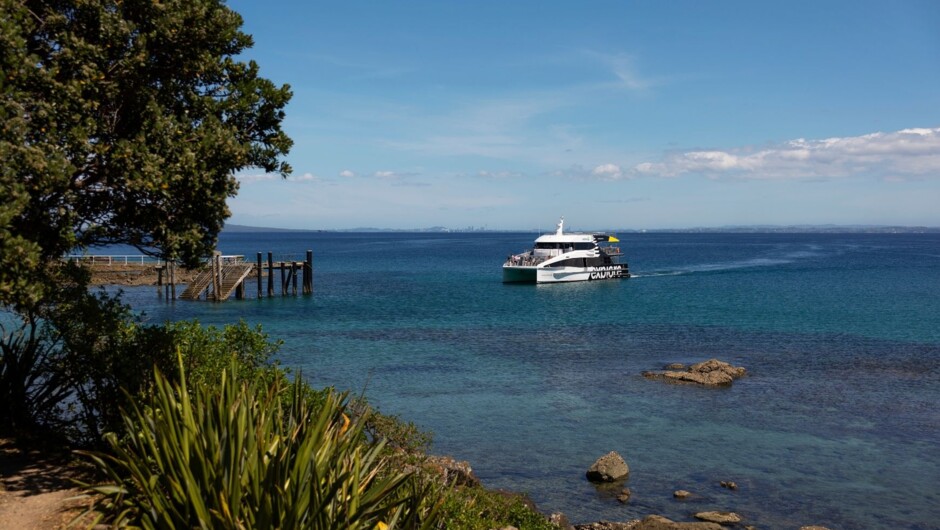 Wharf on Tiritiri Matangi Island, Hauraki Gulf