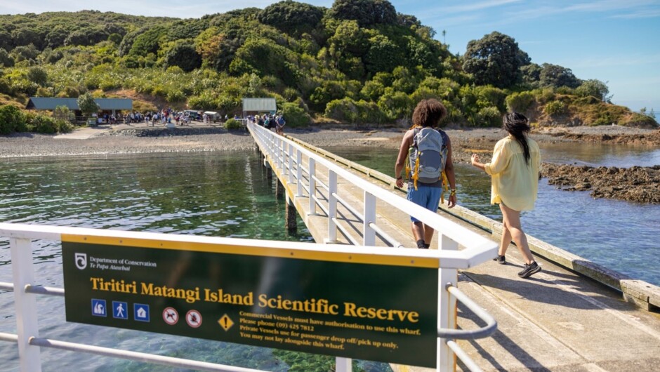 Tiritiri Matangi Island, Hauraki Gulf