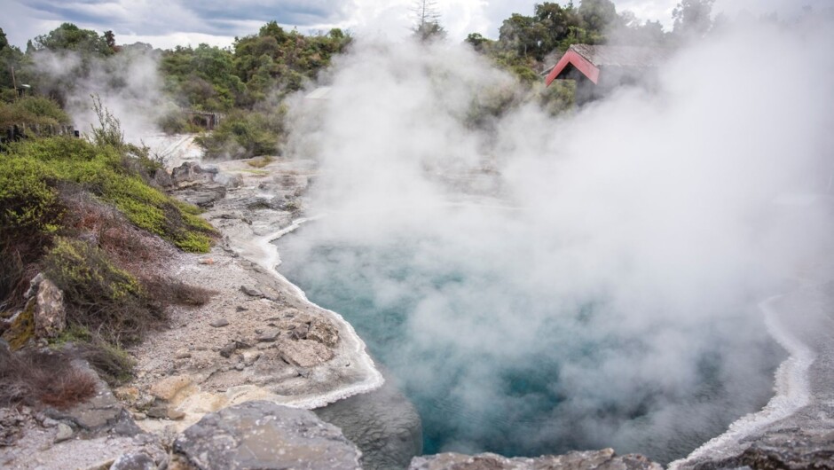 Rotorua