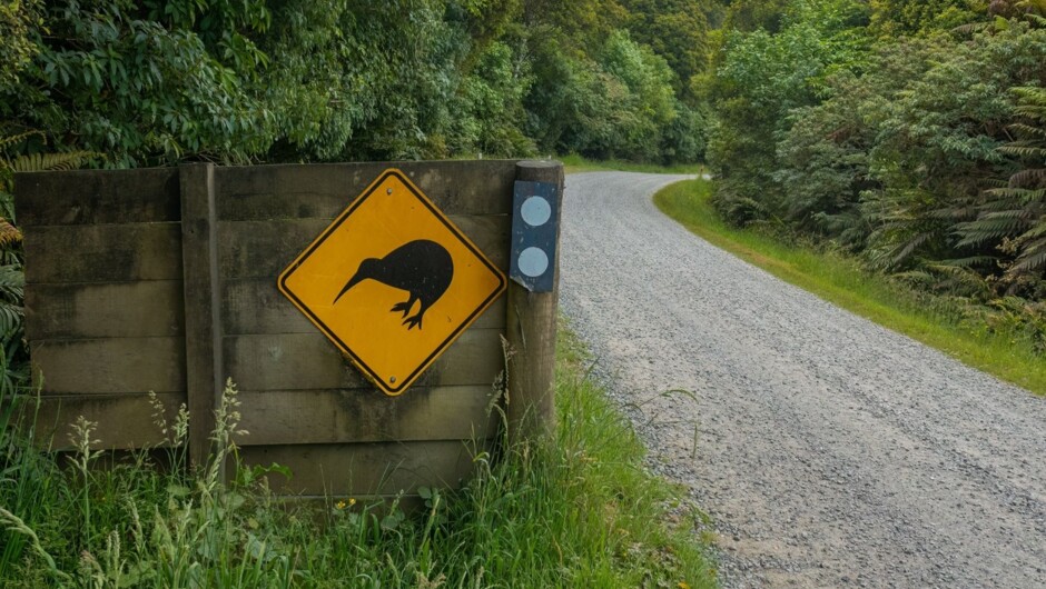 Kiwi road sign