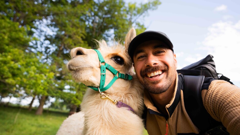 Selfie with Alpaca at Alpaca Walks NZ
