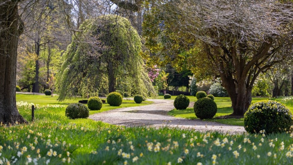 Explore our expansive, parklike grounds and historic gardens.