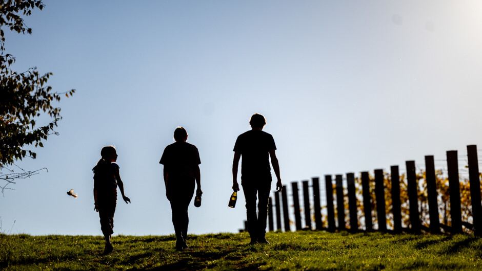 Wandering vines and sunshine at Abel