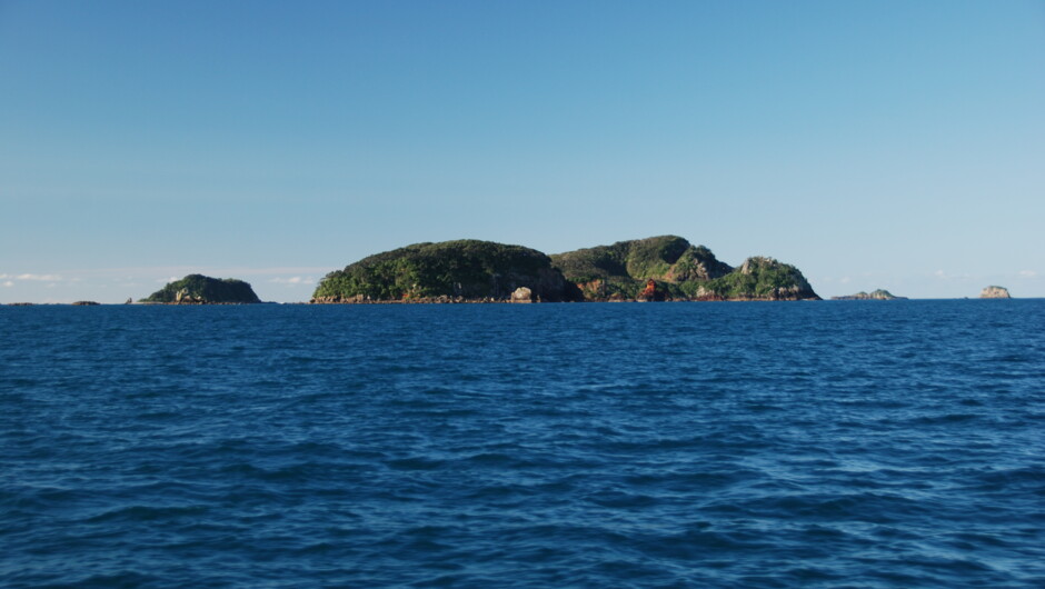 Great Mercury Islands