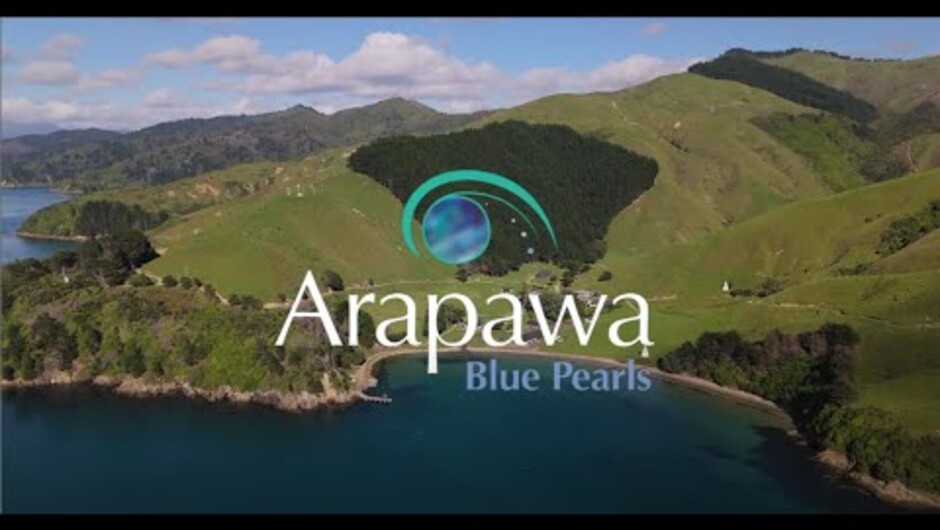 Discover why our Pearls are rarer than Diamonds.