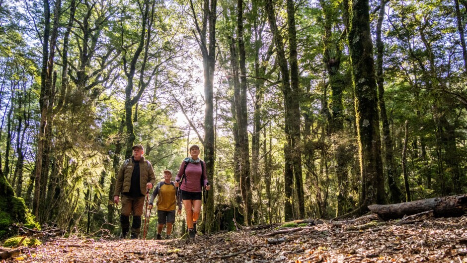 Walking &amp; Hiking Trails