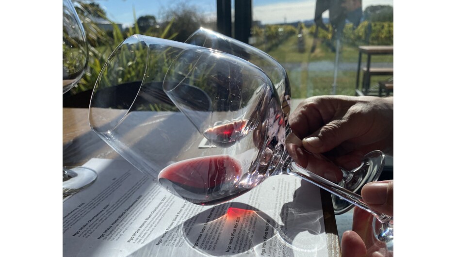 Evaluating colour of Pinot Noir