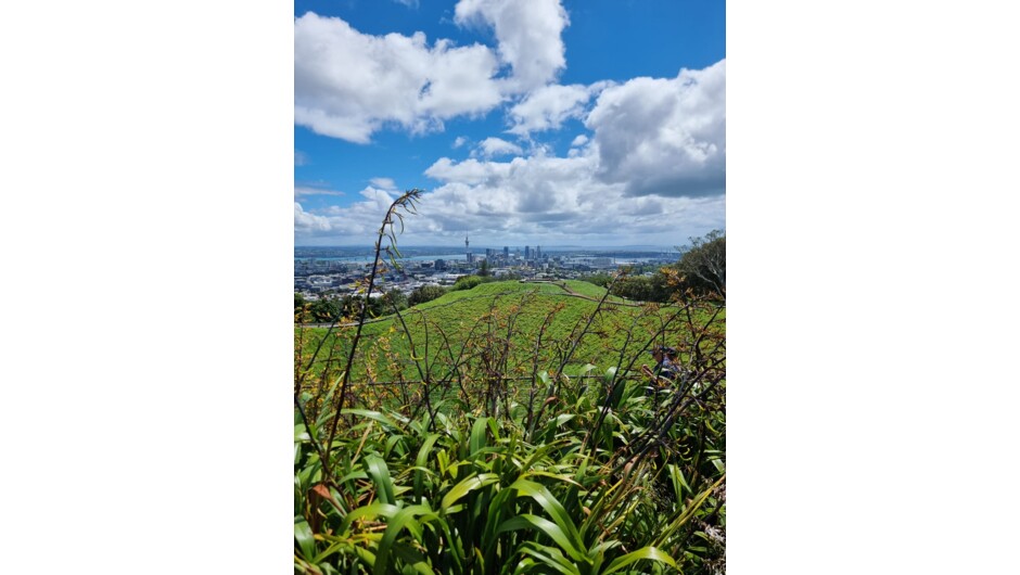 Spectacular views from Maungawhai (Mt Eden)