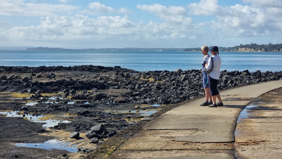 Milford to Takapuna beach and views of Waitemata Harbour out to Rangitoto Island (Not in picture)