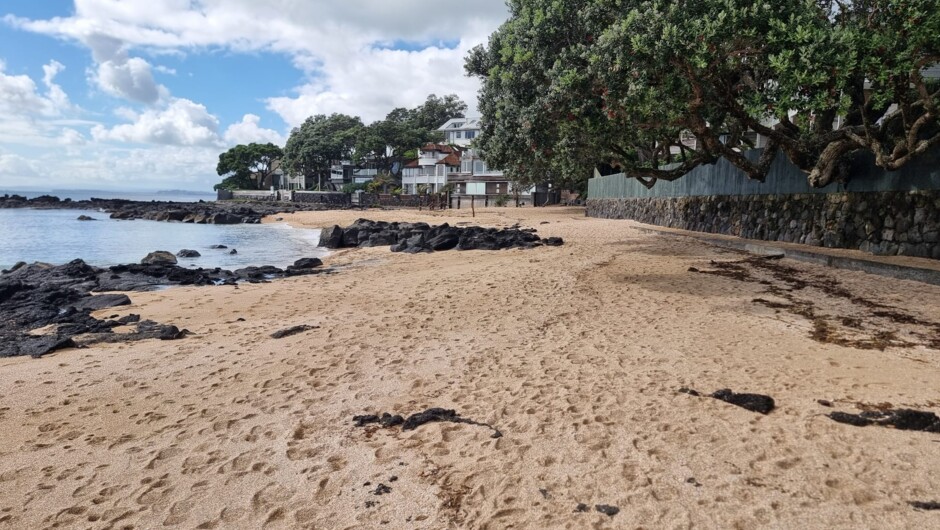 Milford to Takapuna Beach